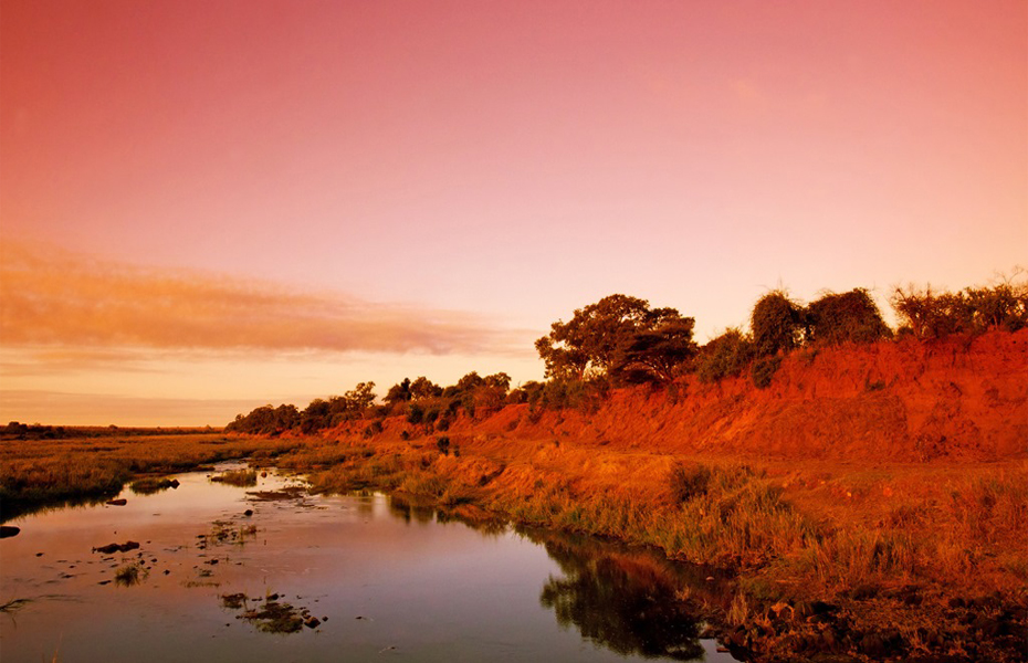 Pesona Taman Nasional Kruger di Afrika Selatan