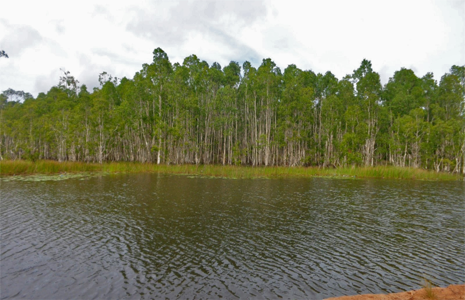 Taman Nasional Wasur (Papua), Surga Flora Fauna dengan Sajian Alam nan Mempesona